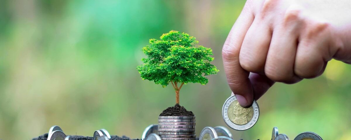 Les mains des personnes qui cultivent des pièces de monnaie et des arbres qui poussent sur des pièces de monnaie, des concepts financiers.