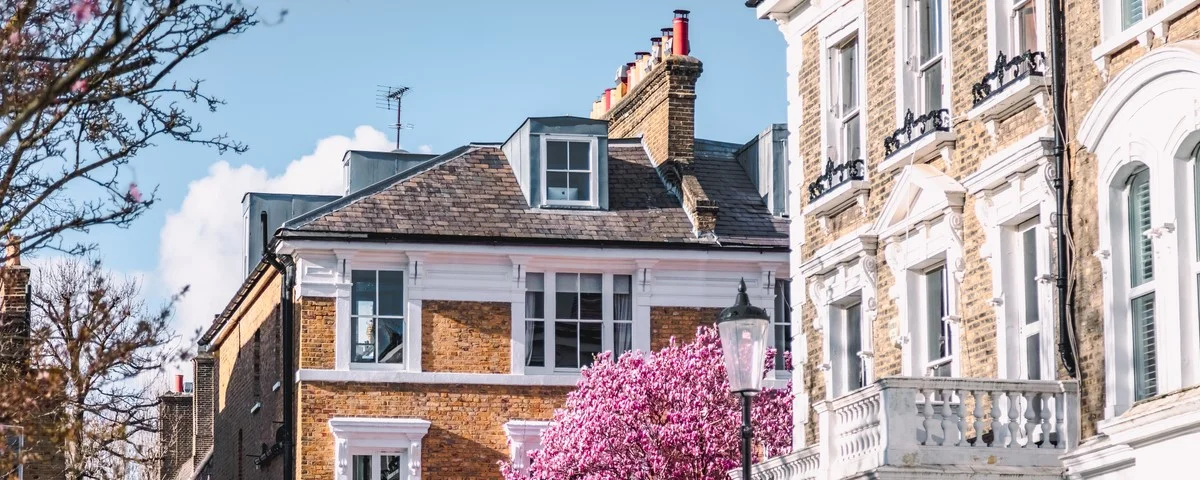 Blooms of Elegance: Pink Magnolia Blossoms Adorn London's Streets in Spring