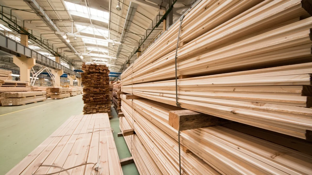 Les opportunités d’investissement dans la filière bois